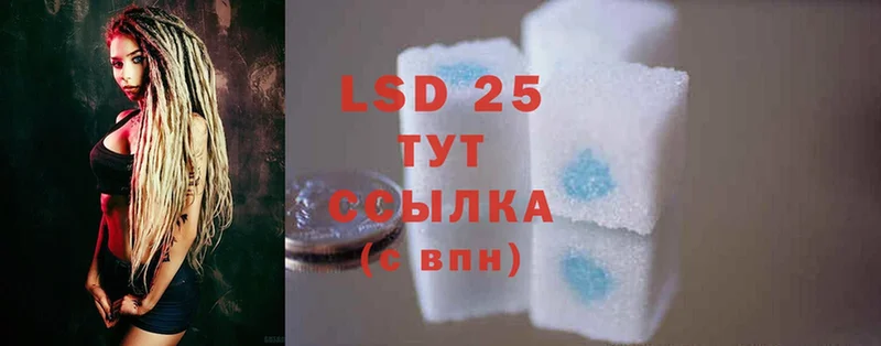 shop официальный сайт  цена наркотик  Красный Холм  LSD-25 экстази кислота 